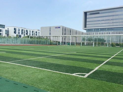 日照塑胶篮球场 杭州中江体育设施工程 塑胶篮球场施工
